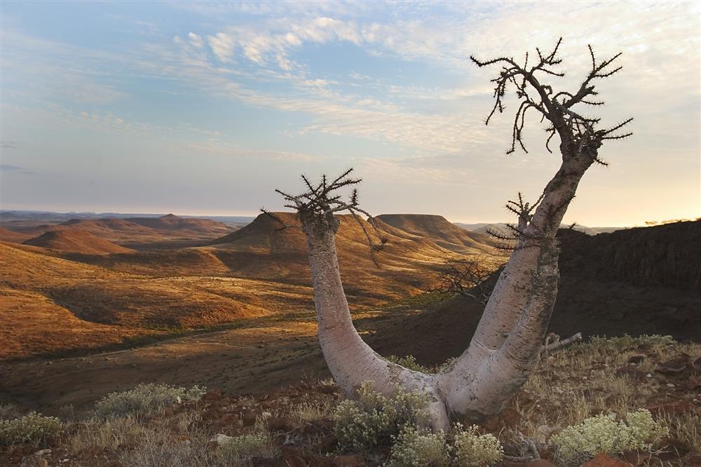 Etendeka Mountain Camp